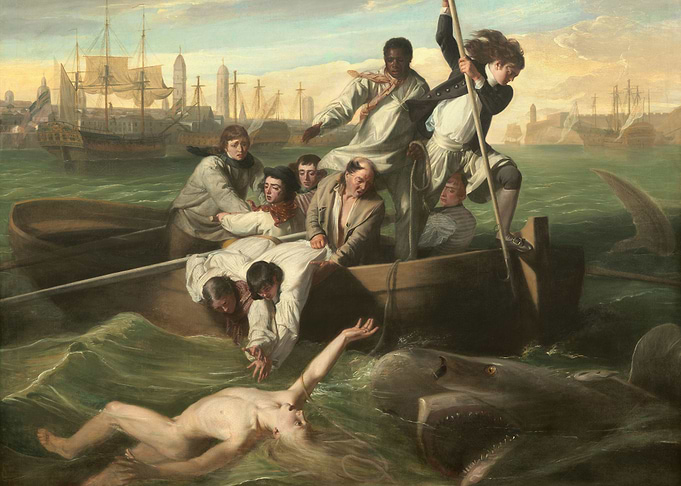 Watson and the Shark