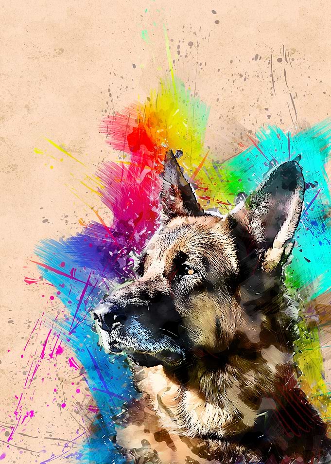 Dog 243