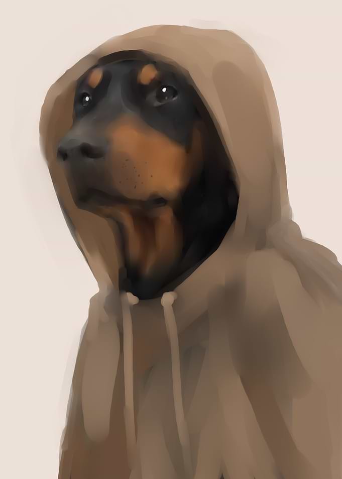 hoodie dog cool