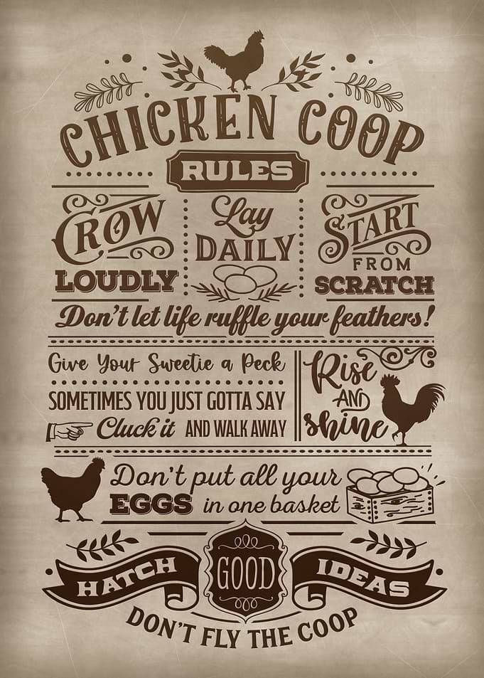 Chicken Coop Rules