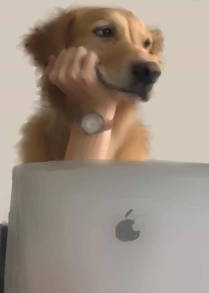 dog boy macbook