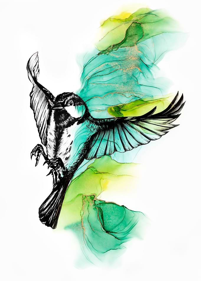 Great tit