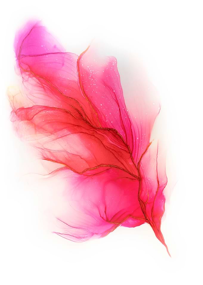 Acanthis Feather