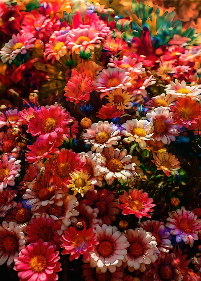 Warm Flowers
