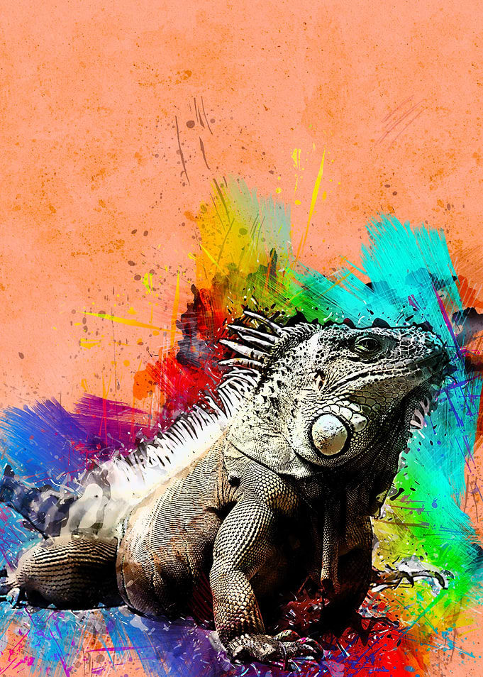 Iguana 246
