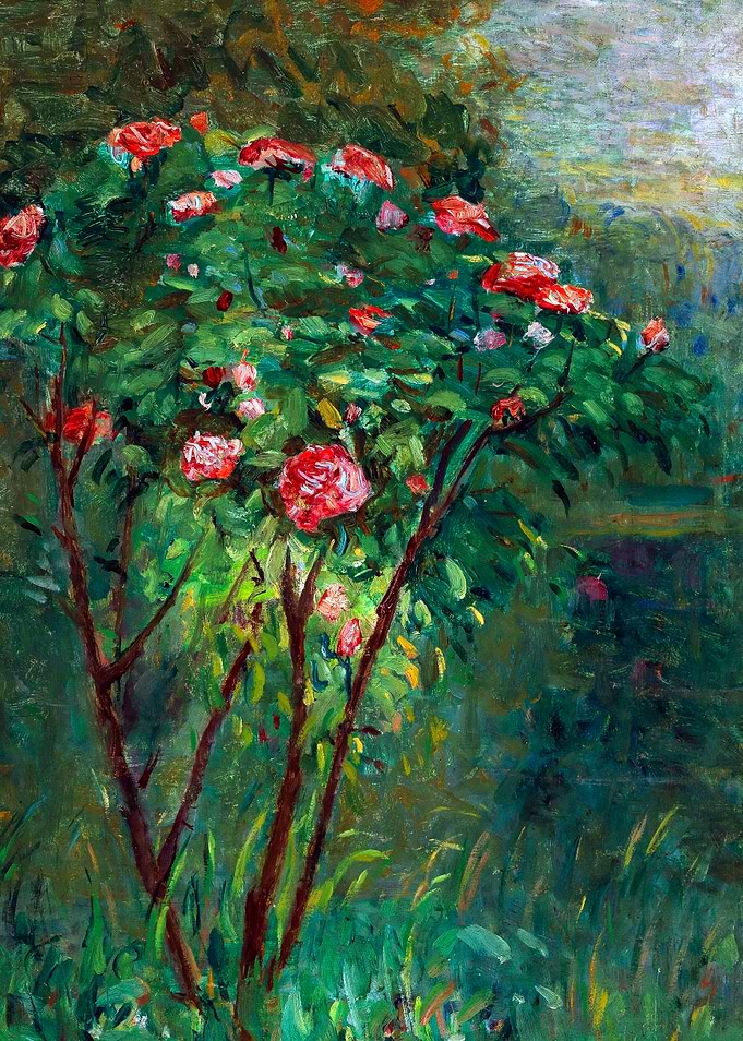 The Flowering Rose