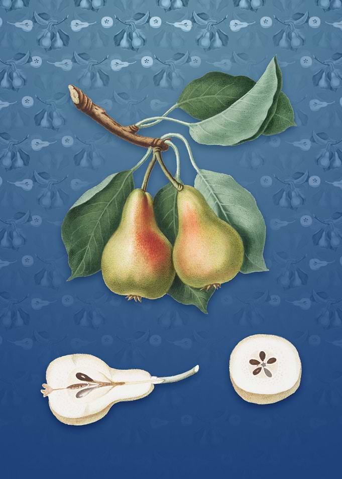 Pear on Bahama Blue