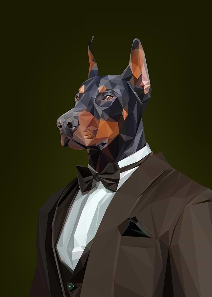 TUXEDO DOBERMAN DOG
