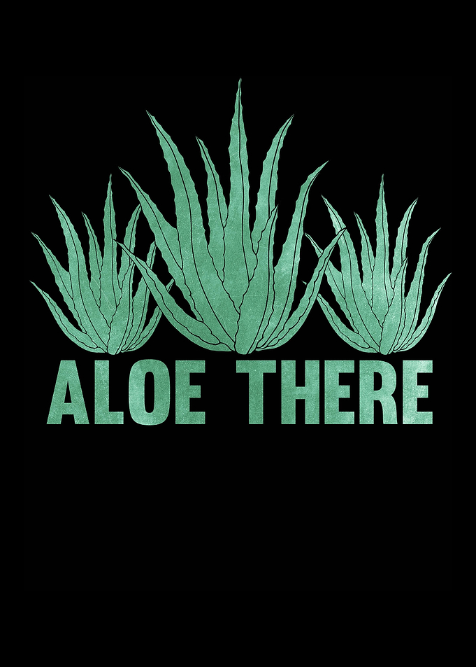 Aloe Vera Pun Plants