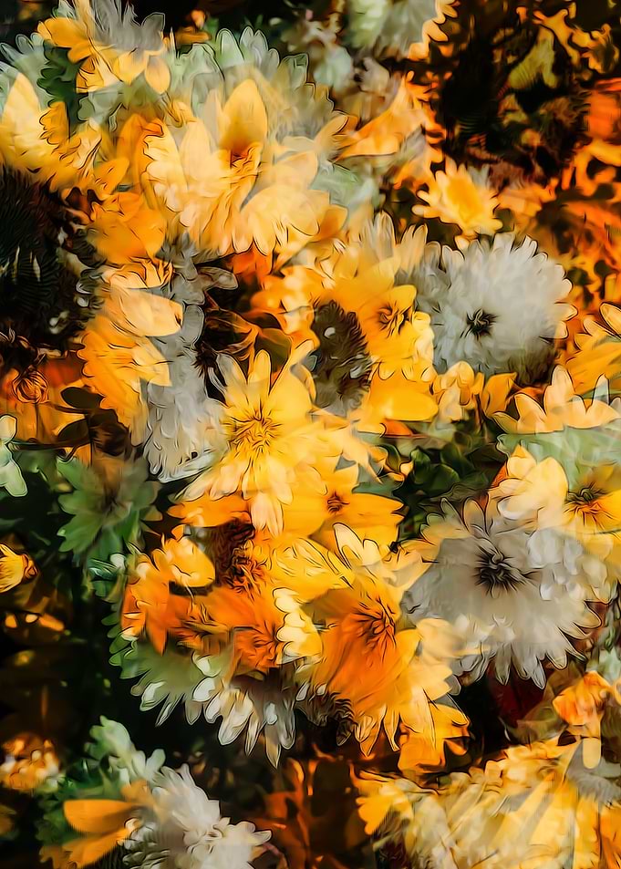 Sun Flowers