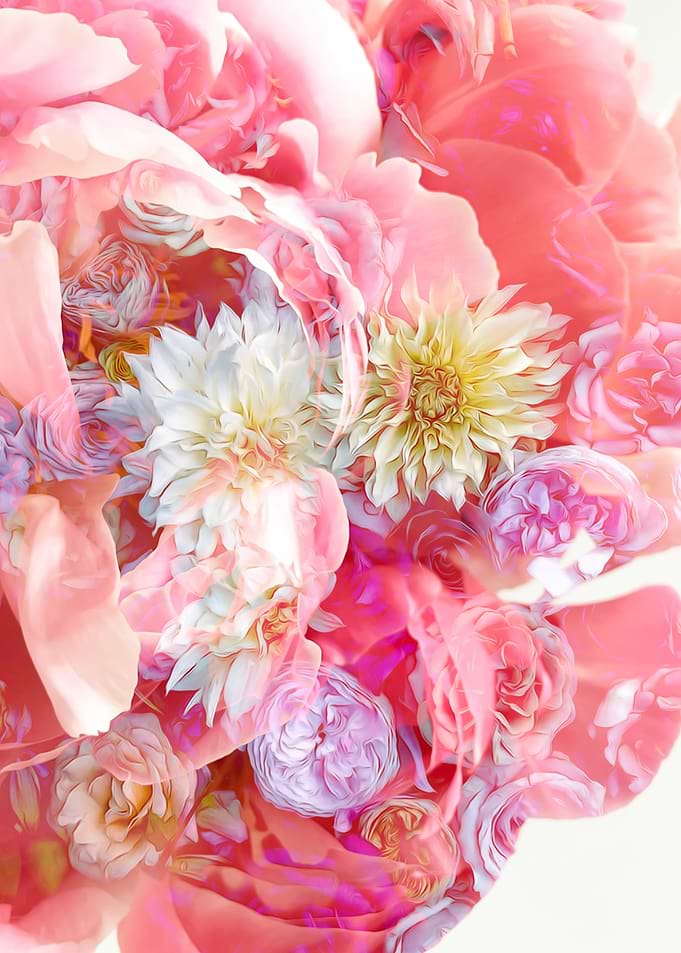 Dreamy Flowers