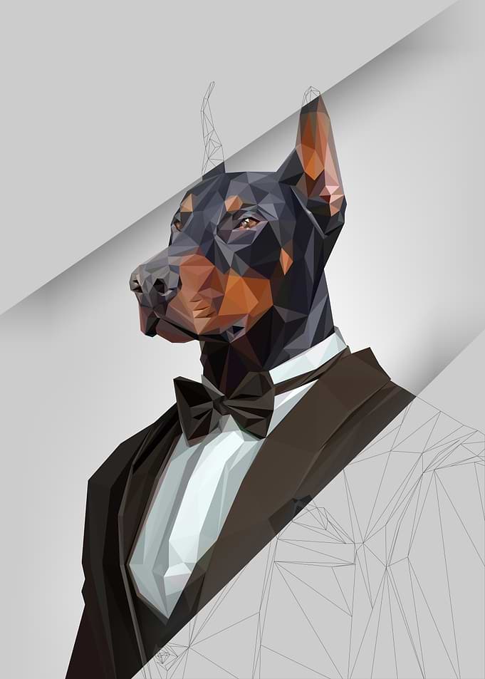TUXEDO DOBERMAN DOG LINE