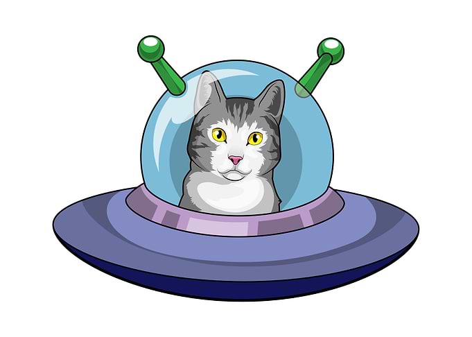 Cat UFO