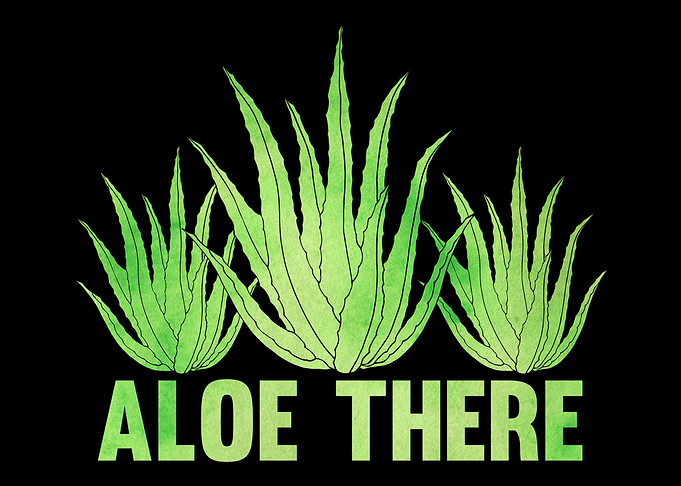 Aloe Vera Pun Plants