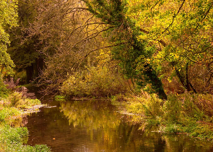 Landscape in Bibury