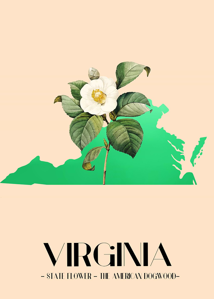 Virginia and The Dogwood