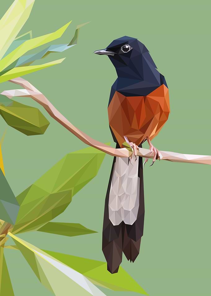 Murai Batu Bird Lowpoly