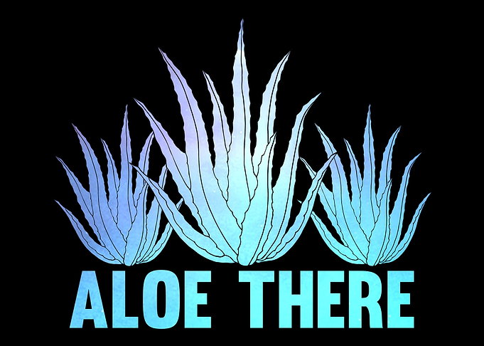 Aloe Vera Pun Plants