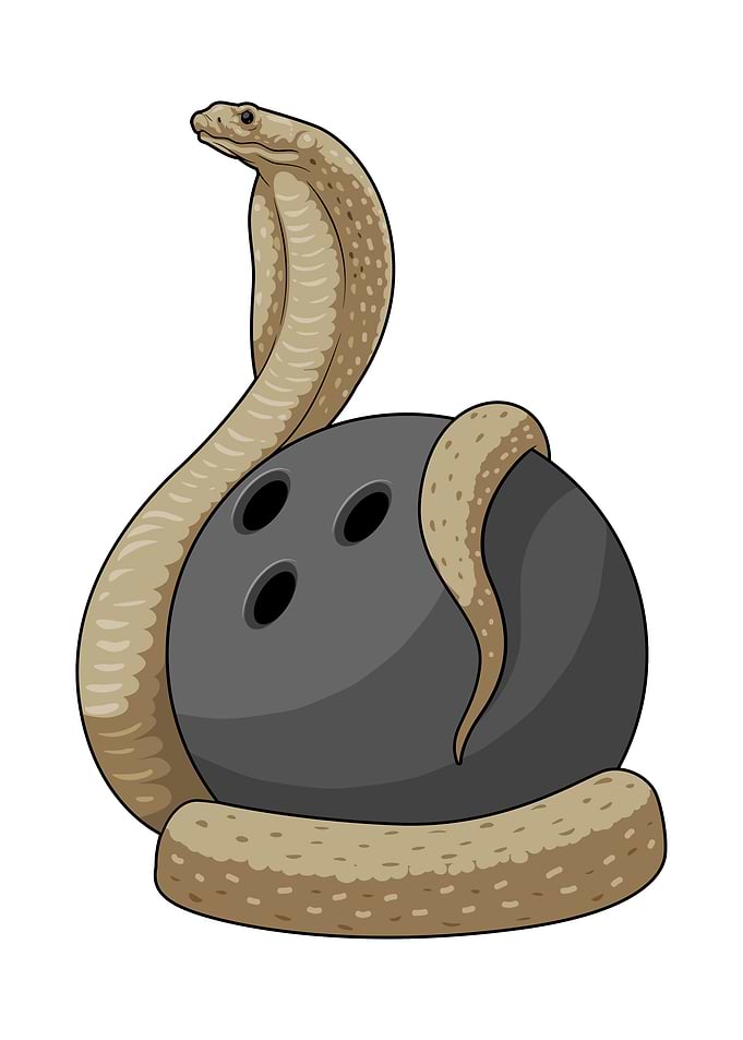 Snake Bowling Bowling ball