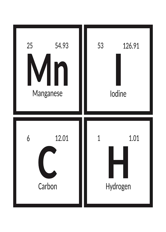 Elements of Munich