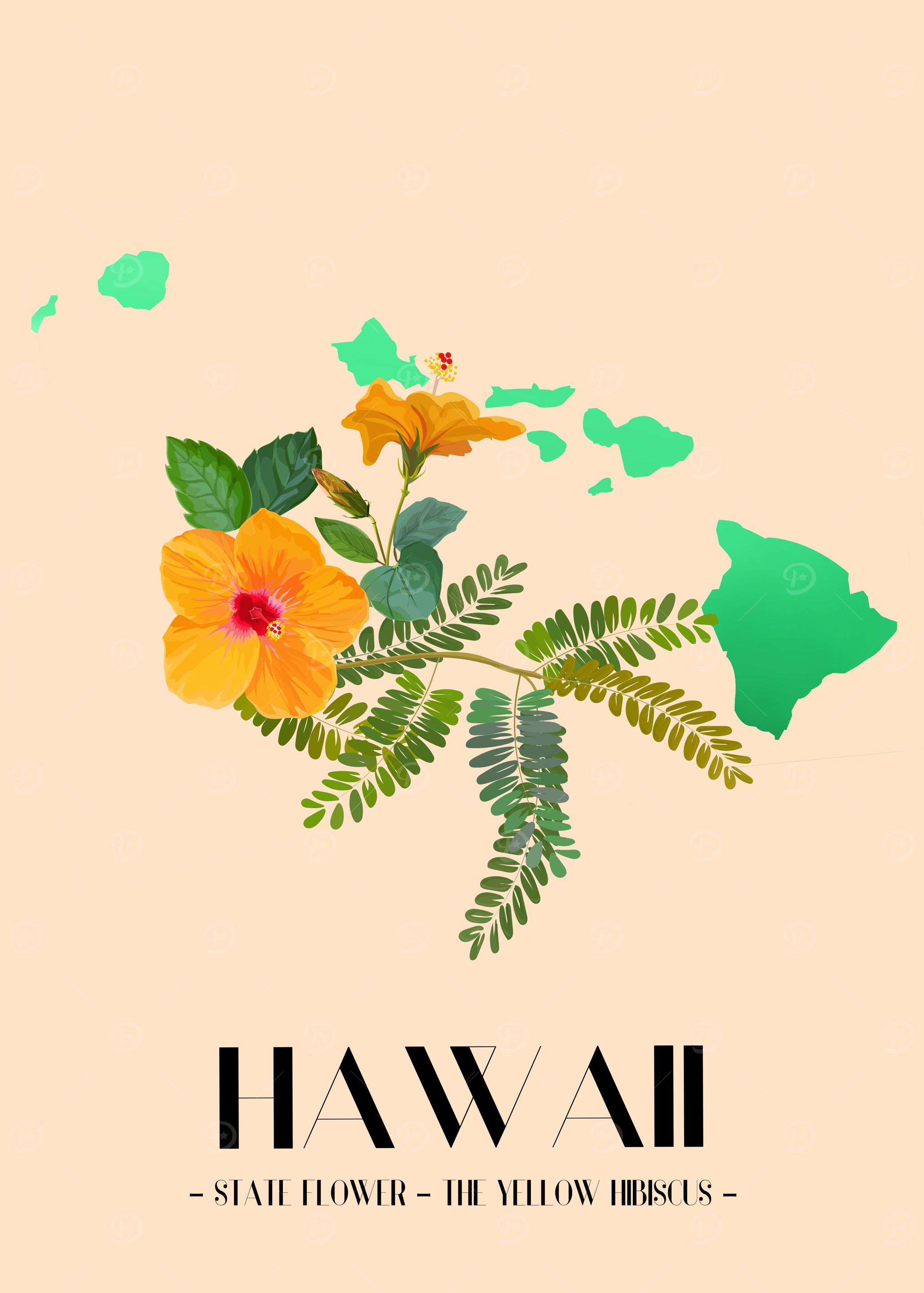 Hawaii and Hibiscus