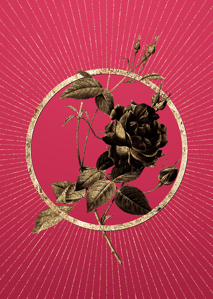 Gold Blood Red Bengal Rose