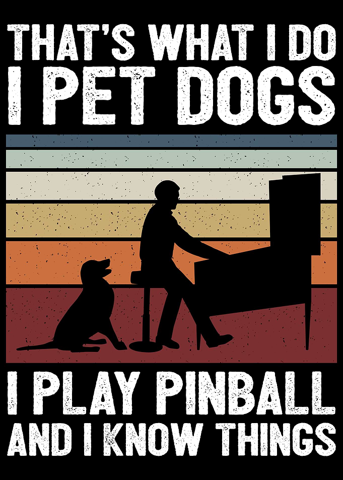 Flipping Pinball Gift
