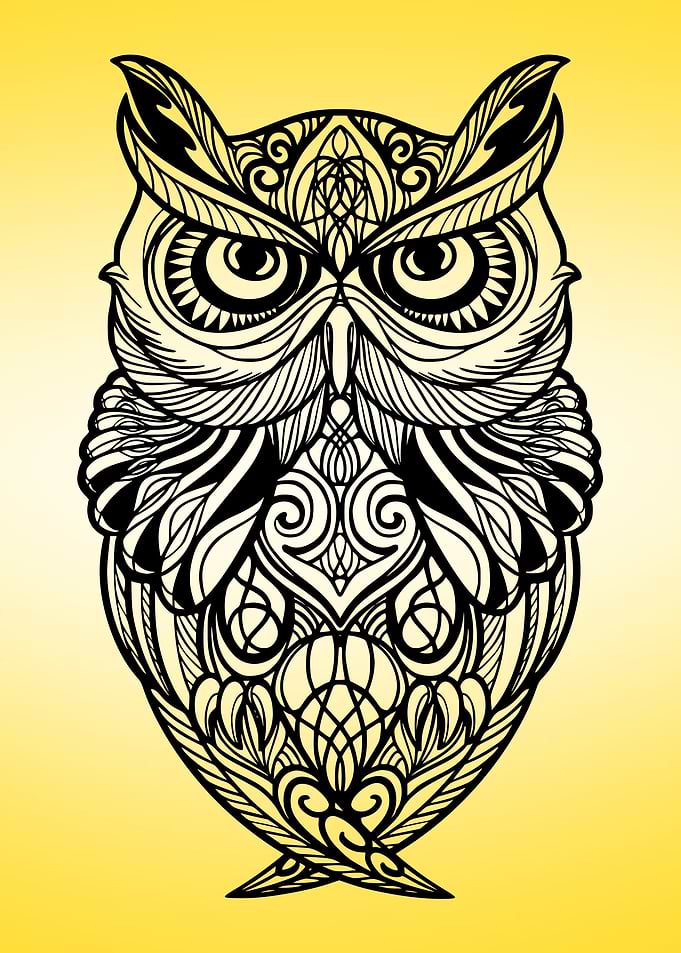 Owl Lovers Art 18