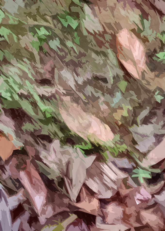 Nature Patterns1
