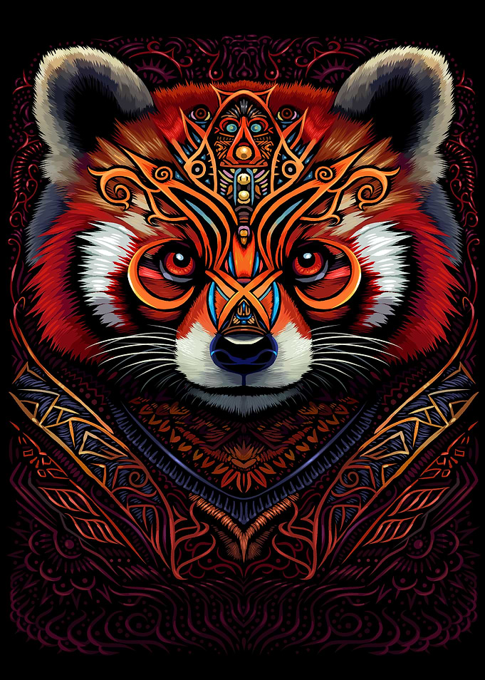 Indian tribal red panda
