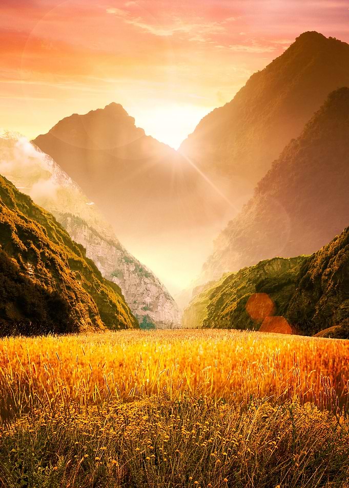 Gold Field