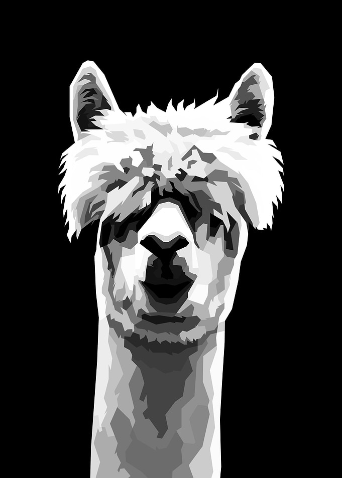 Alpaca
