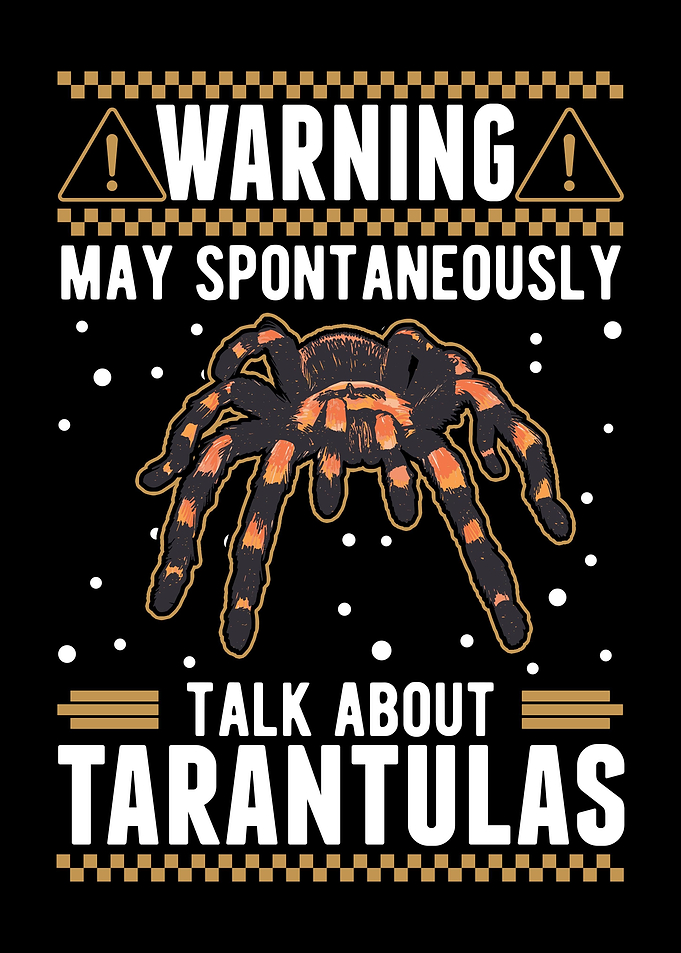 Tarantula Spider