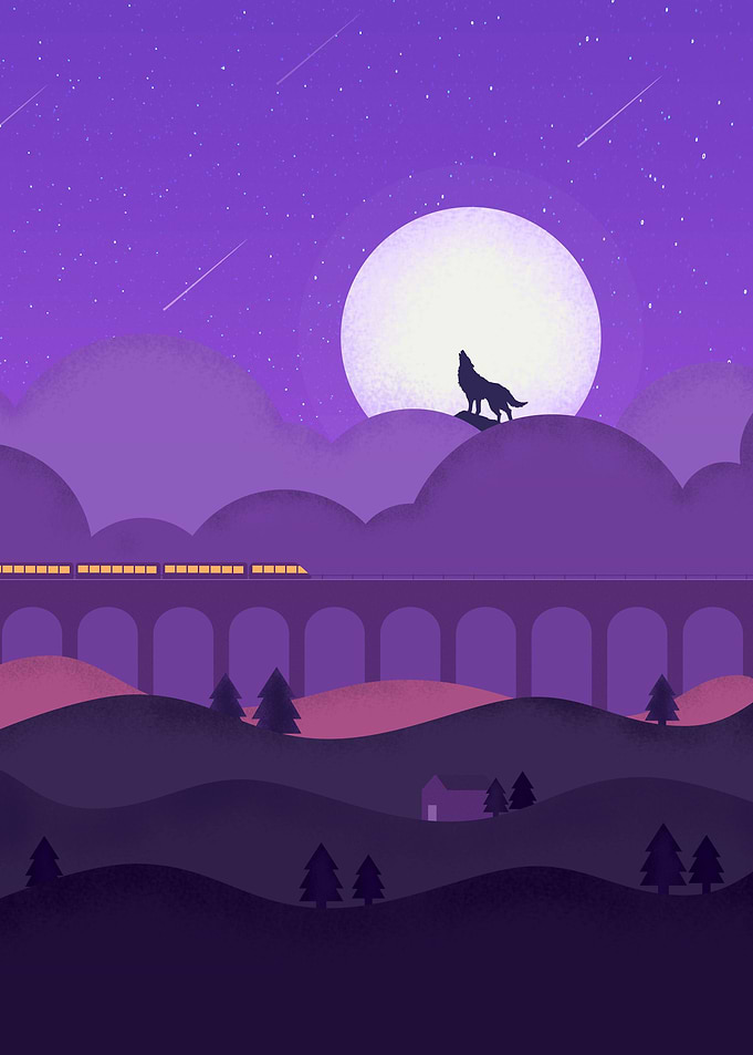 Train at Bridge Moonlight
