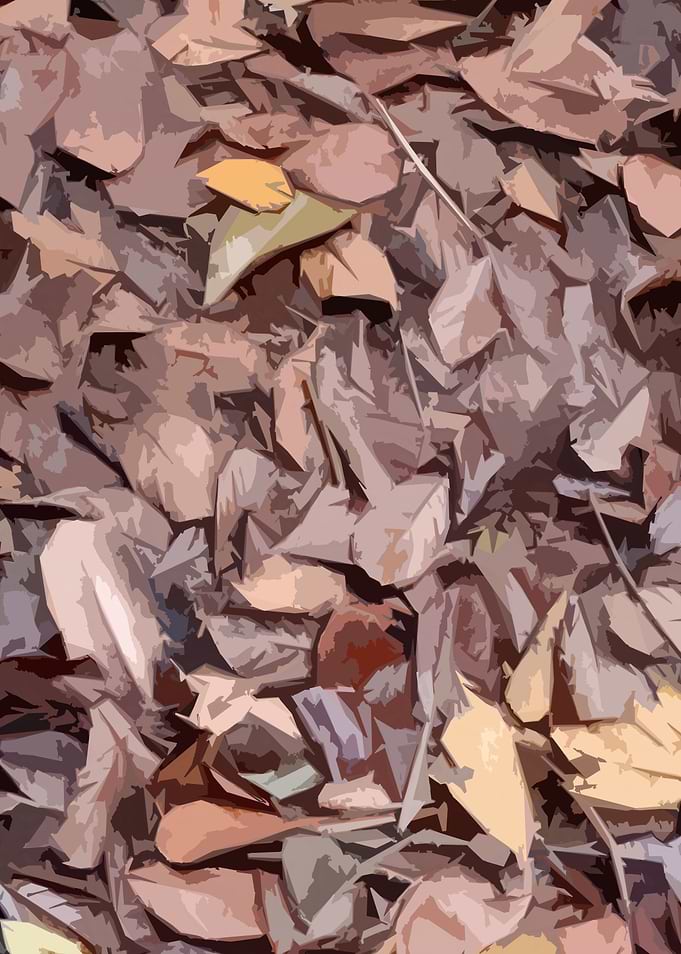 Nature Patterns3