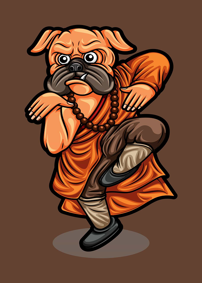 pug dog shaolin fight