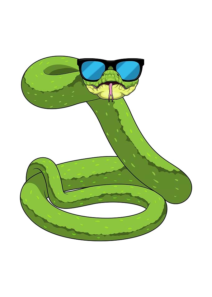 Snake Sunglasses