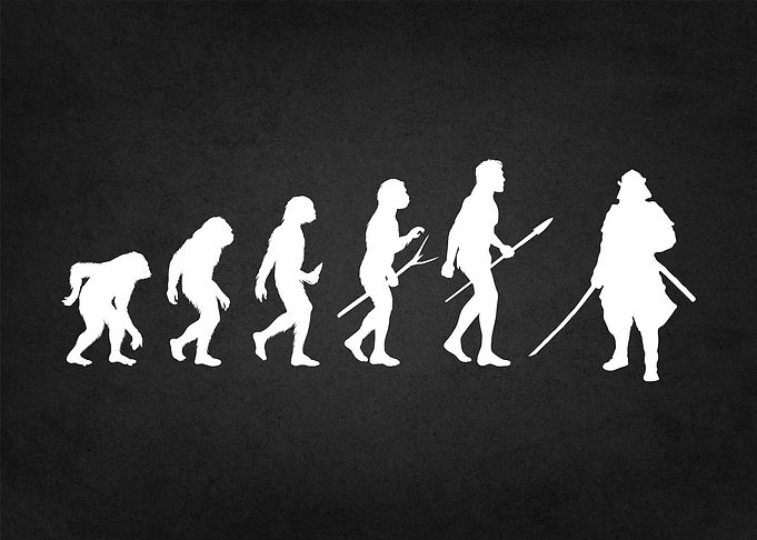 evolution of samurai