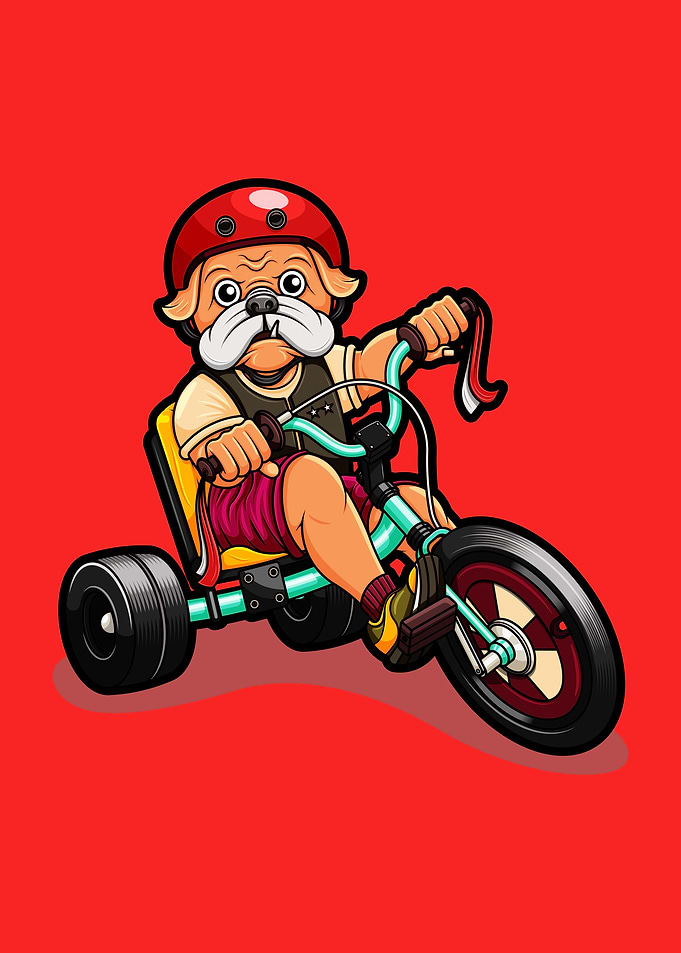 pug dog riding a bike
