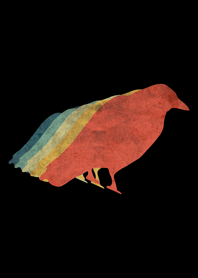 Crow Retro Vintage Color