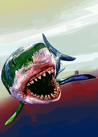 Shark