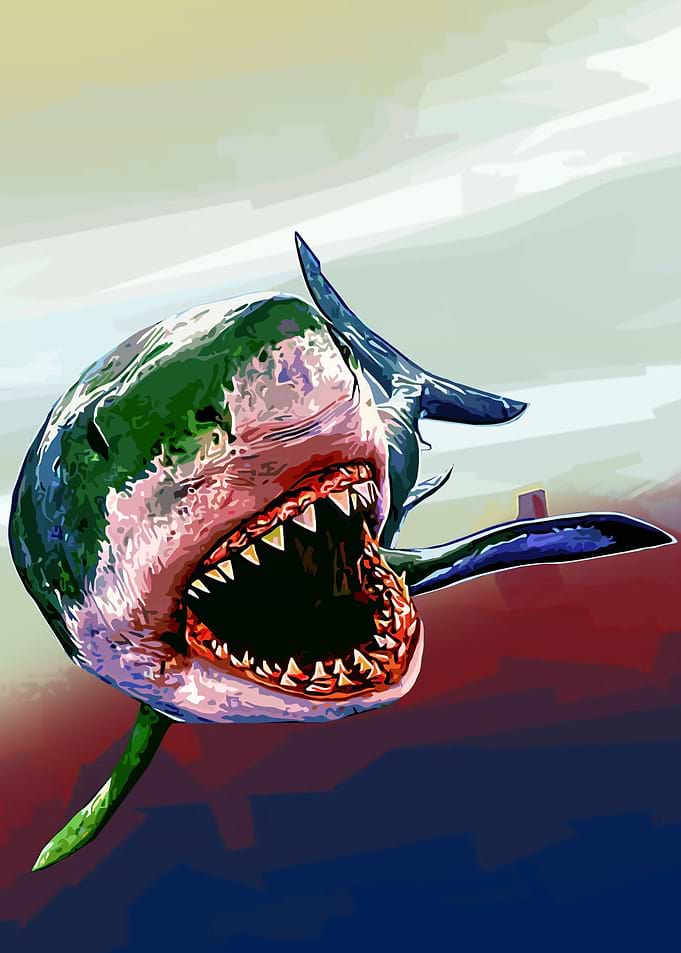Shark