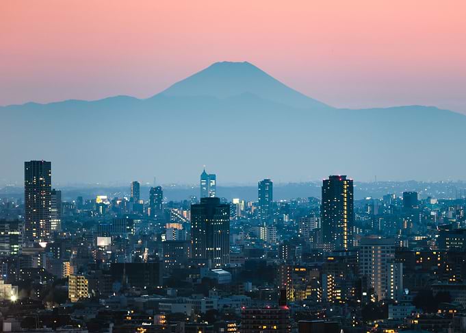 Mt Fuji and Tokyo city