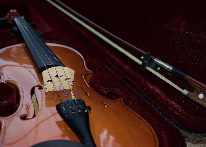 Violin