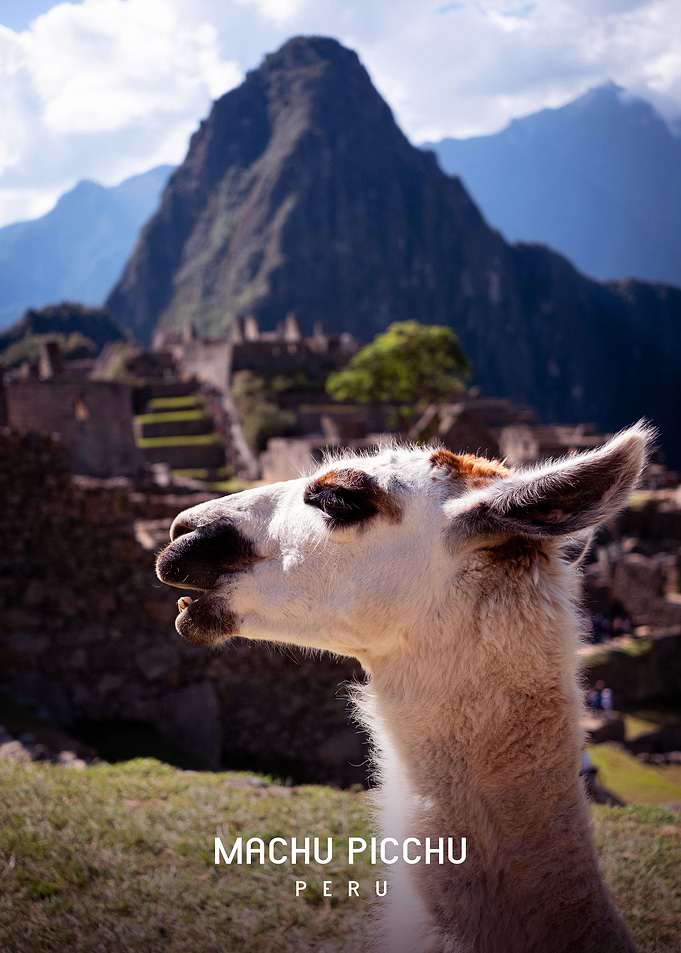 Machu Picchu