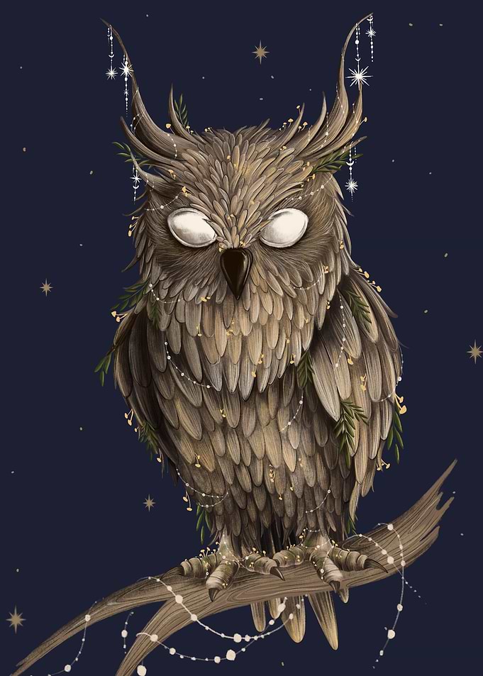 Owl Lovers Art 20