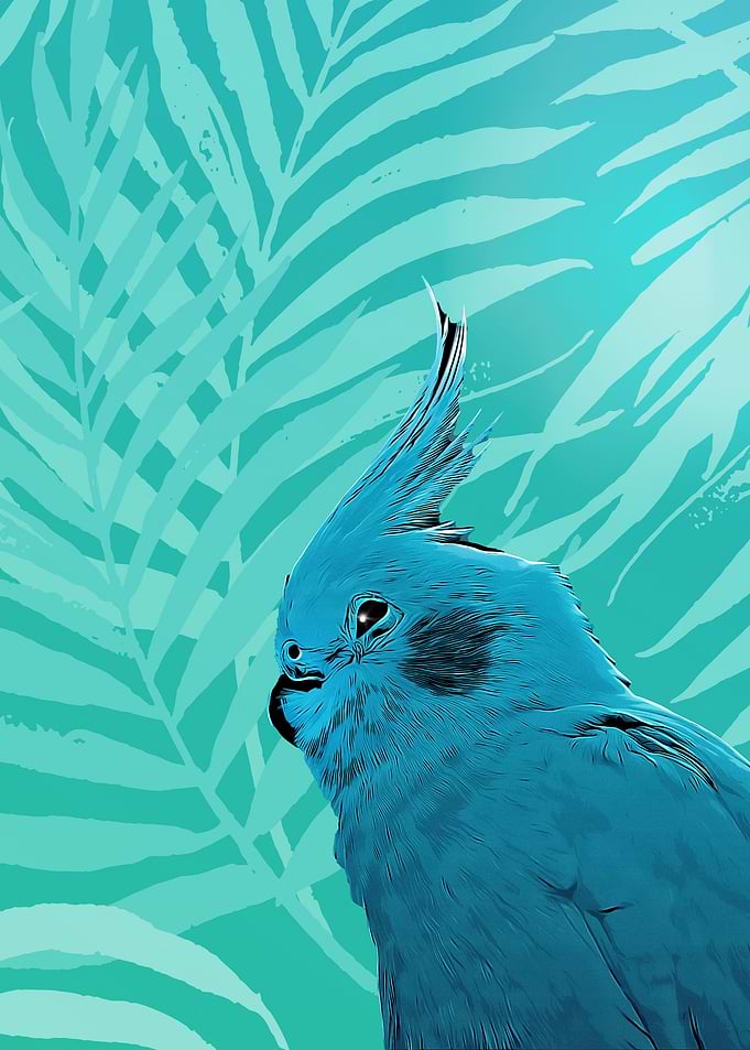 Blue Cockatoo