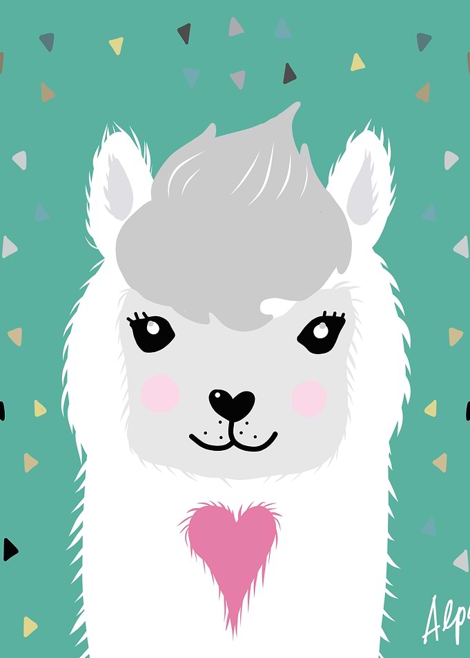 Cute Alpaca