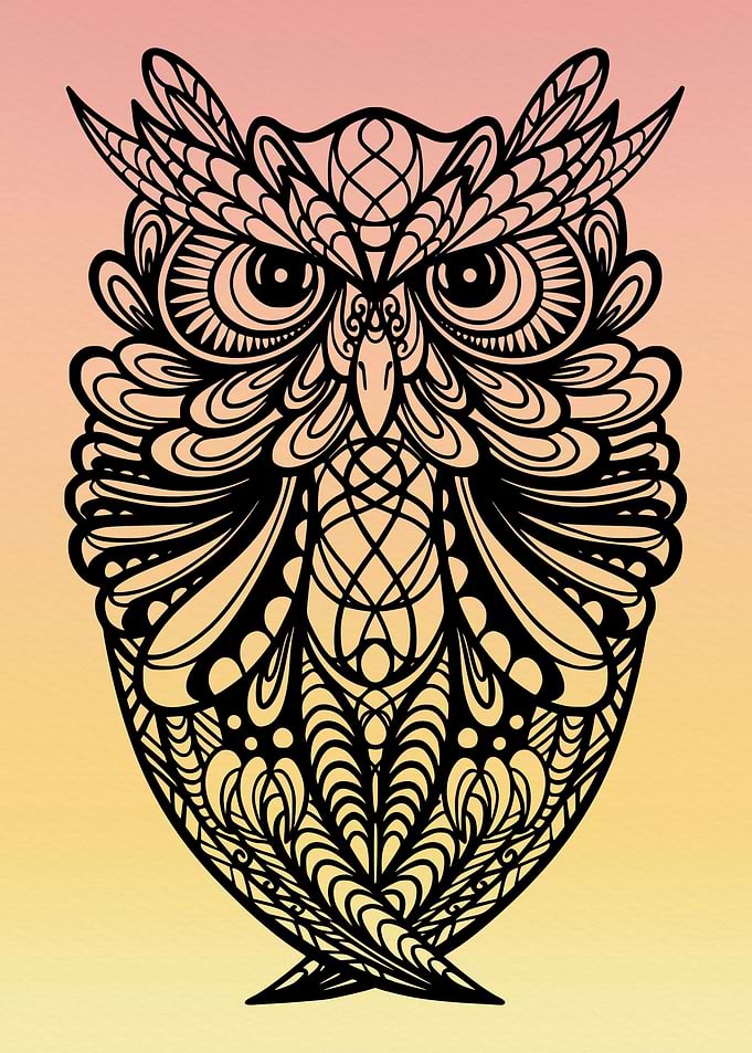 Owl Lovers Art 17