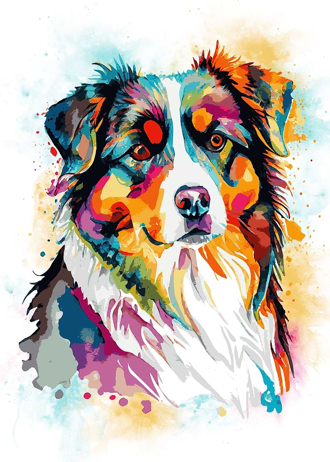 Australian Shepherd Art